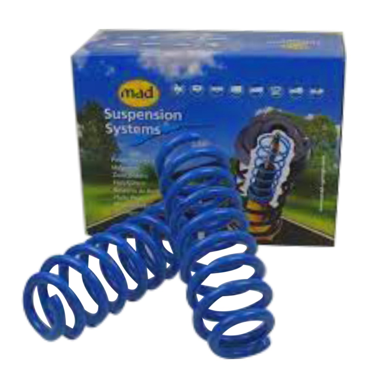 Rear Axis Springs MAD for Fiat Idea(2003-2015) Image 1